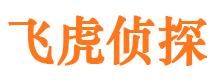 双江外遇调查取证